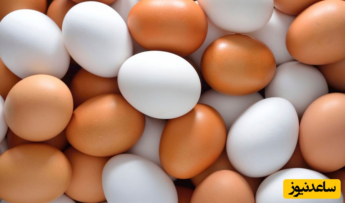 راه های تشخیص تخم مرغ فاسد شده