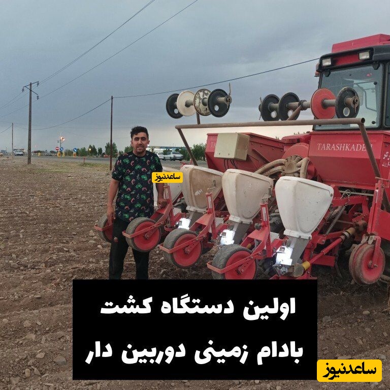 کاشت بادام زمینی