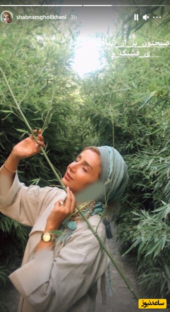 شبنم قلی خانی
