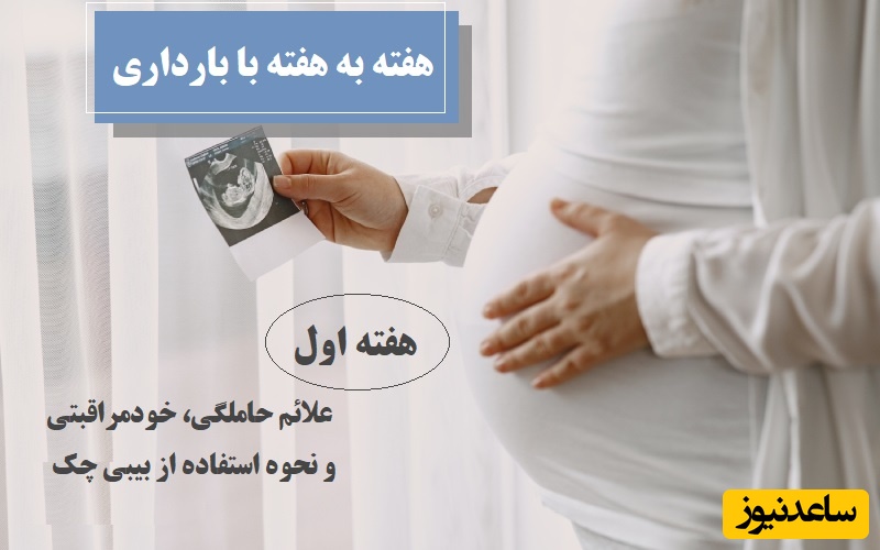هفته اول بارداری: علائم حاملگی در روزهای اول + نحوه استفاده از بیبی چک و نکات مراقبتی