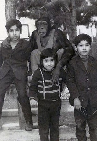 سفر به تهران قدیم/ از دارالتأدیب گرفته تا مدرسه ادب تهران+ تصاویر