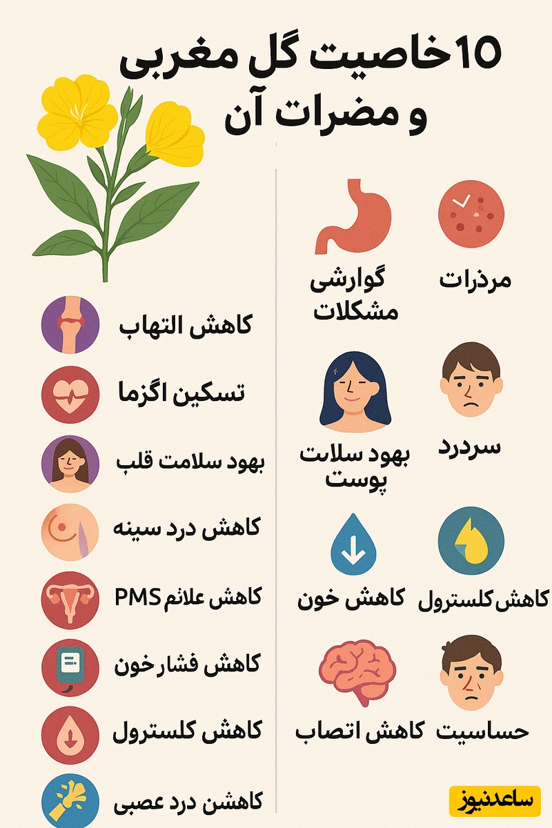 اینفوگرافیک