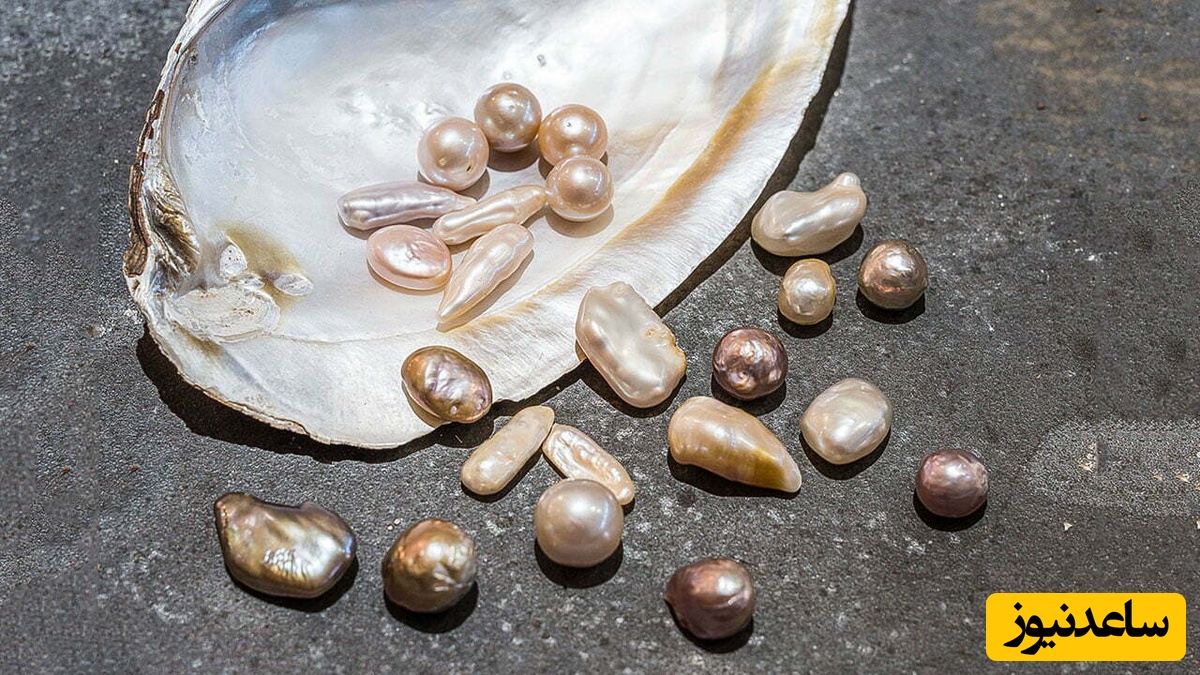 عکس| پشت صحنه مهارت‌های خارق‌العاده ایرانیان باستان چگونه از اعماق دریا مروارید و گنج بیرون می‌آوردند؟