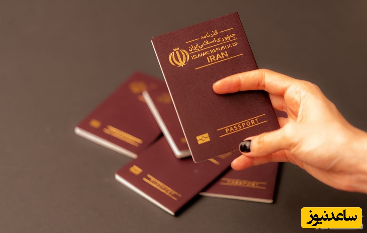 همه چیز را درباره پلیس مهاجرت و گذرنامه بدانید