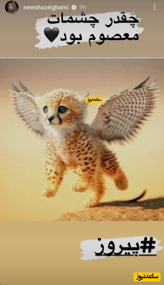 نیوشا ضیغمی