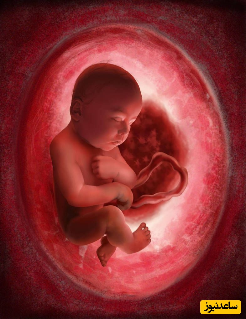 نارسایی قلبی در نوزادان