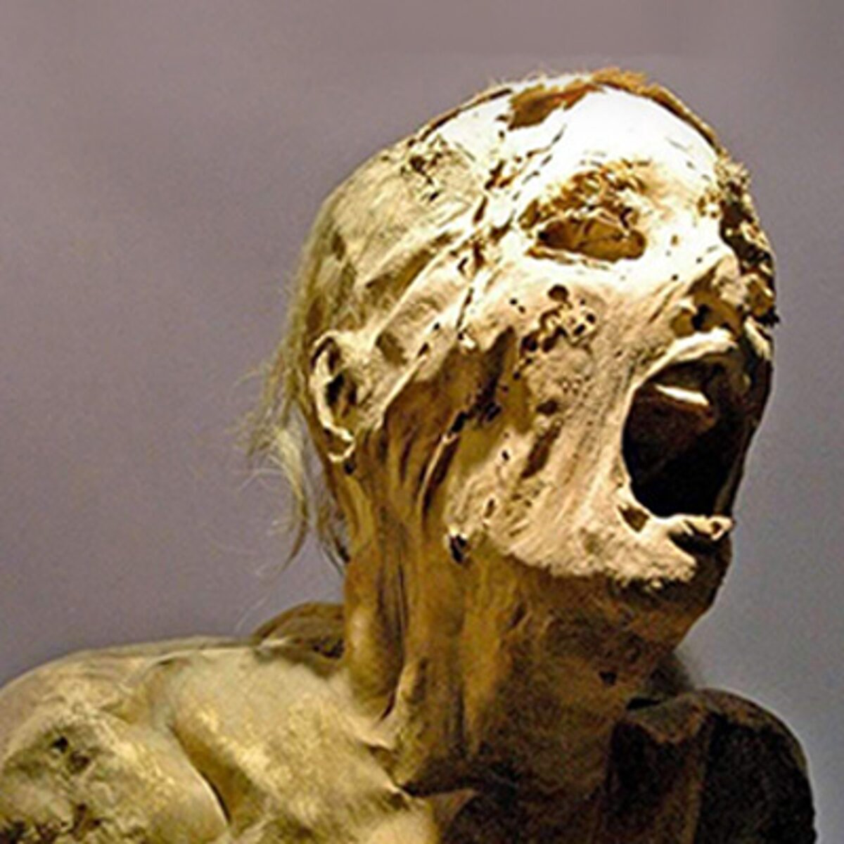 تجاوز یک مرد به مومیایی 2500ساله در موزه! + عکس