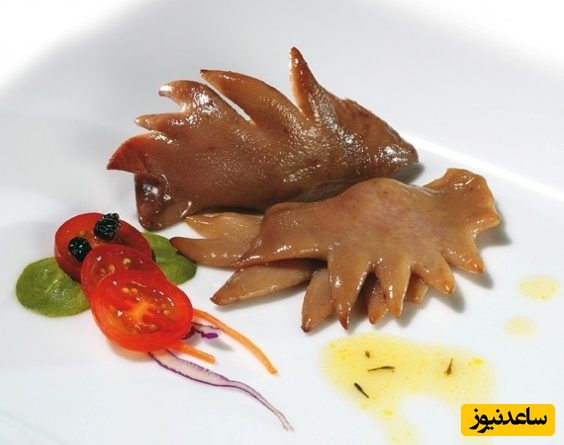 غذای عجیب و غریب و حال بهم زن تایوانی / از سوپ قورباغه تا تاج خروس