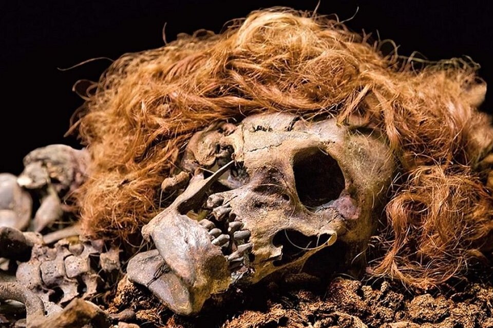 بازسازی چهرۀ مردی که 700 سال قبل به قتل رسید و در مرداب دفن شد
