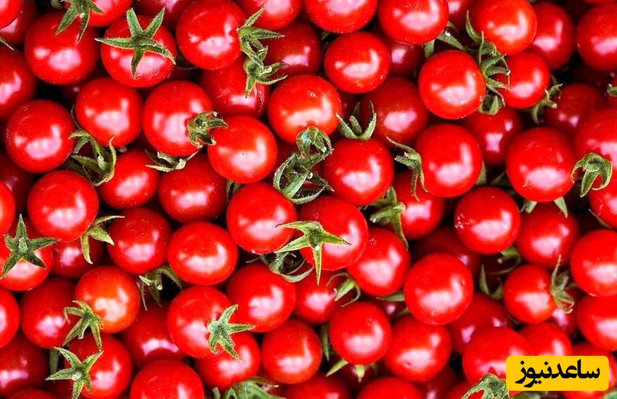 چالش دقت/ حتی افرادی با قدرت بینایی 10 از 10 نتوانستند در 7 ثانیه "گوجه فرنگی" را در میان "آلبالوها" پیدا کنند