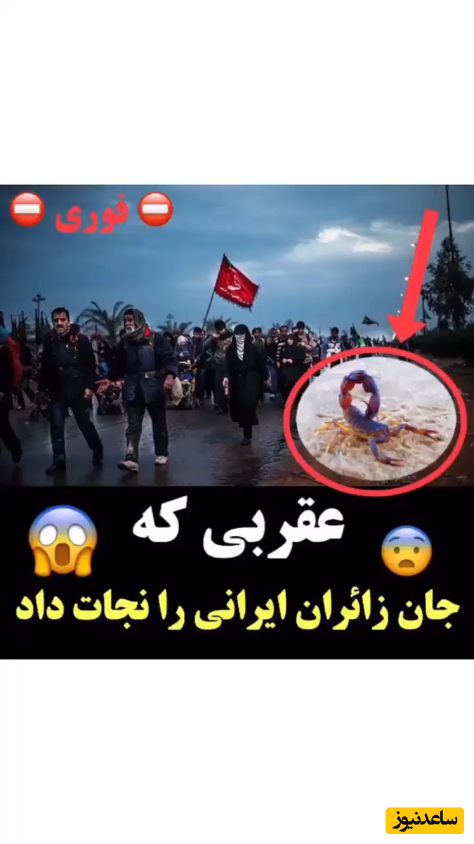 این عقرب جان هزاران زائر ایرانی را نجات داد+ویدئو
