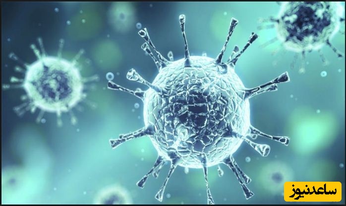 منابع دروس آزمون رشته زیست شناسی - میکروبیولوژی و ضرایب آن در مقطع دکتری