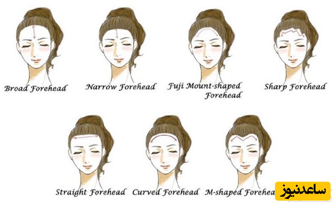 انواع پیشانی