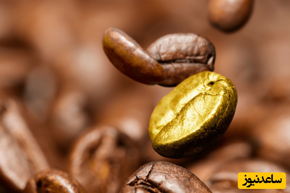 گران‌قیمت‌ترین قهوه جهان همینجا بیخ گوش ایران هر فنجان چند میلیون سرو بشه خوبه؟+فیلم/ اول حدس بعد تماشا، جرزنی هم نکنین😉