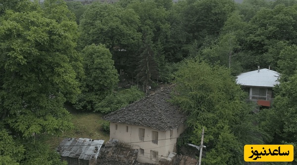 جنگل‌های هیرکانی