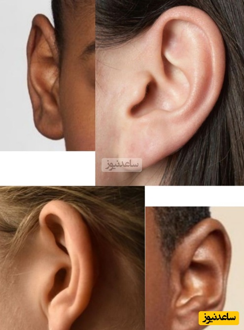 (ویدیو) حقابق باور نکردنی درمورد گوش انسان و تاثیر جالب کلمات بر مغز/ گوشاتو پرورش بده و شاهد تغییر واقعیت خودت باش!