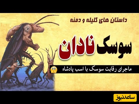 حکایت‌های خواندنی/ سوسک نادان و رقابت با اسب پادشاه؛ داستان‌ فوق جذاب و آموزنده کلیله و دمنه/ عاقبت حماقت و غرور بیجا