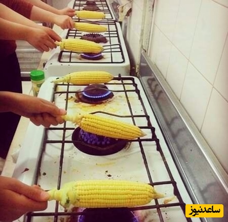 زندگی دانشجویی