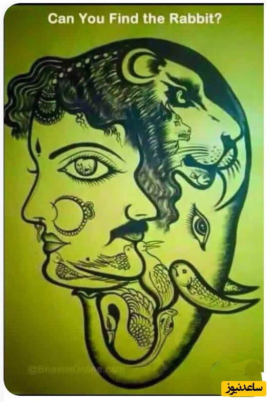 فقط افراد تیزبین که مو رو از ماست بیرون میکشن   میتونن خرگوش رو در این عکس پیدا کنن
