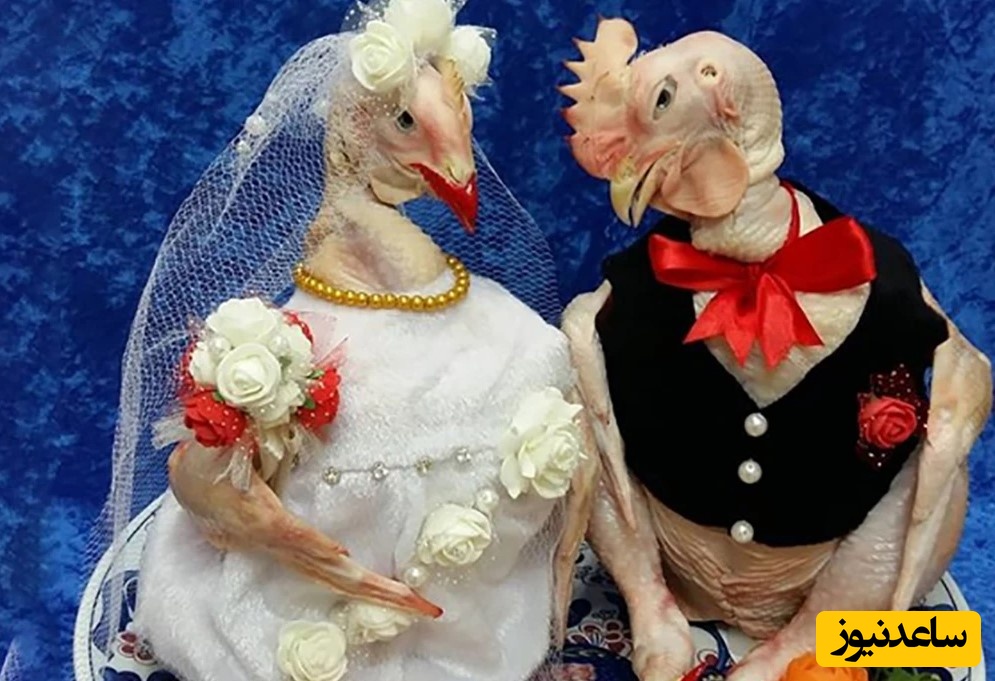 خلاقیت تحسین‌برانگیز و خنده‌دار "عروس تبریزی" درتزئین سینی مرغ برای مادرشوهر/ عاشق اون گردنبندش شدم نمیشه اینو فقط نگاه کرد؟🤣