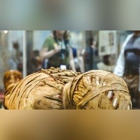 زبون باز کردن جسد مومیایی شده کاهن مصری بعد از 3000 سال+فیلم وعکس