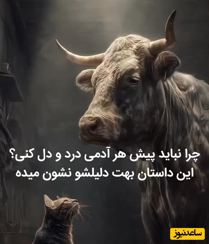 (ویدئو) وقتی دردودل کردن به قیمت جان تمام می‌شود! چرا سکوت قدرتمندترین سلاح شماست؟