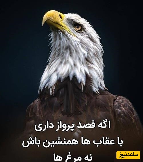 پیام امروز کائنات برای تو؛ وقتی به آخر خط می‌رسی، تازه می‌فهمی چرا کائنات مسیرت را عوض کرد!/ حقیقتی که دیر می‌فهمیم/ پیام انگیزشی امروز 18 اردیبهشت 1405 + ویدیو