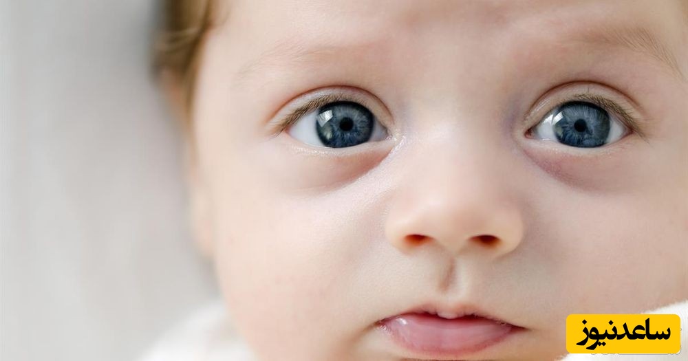 روند تکامل حس بینایی در شیرخواران چگونه است؟