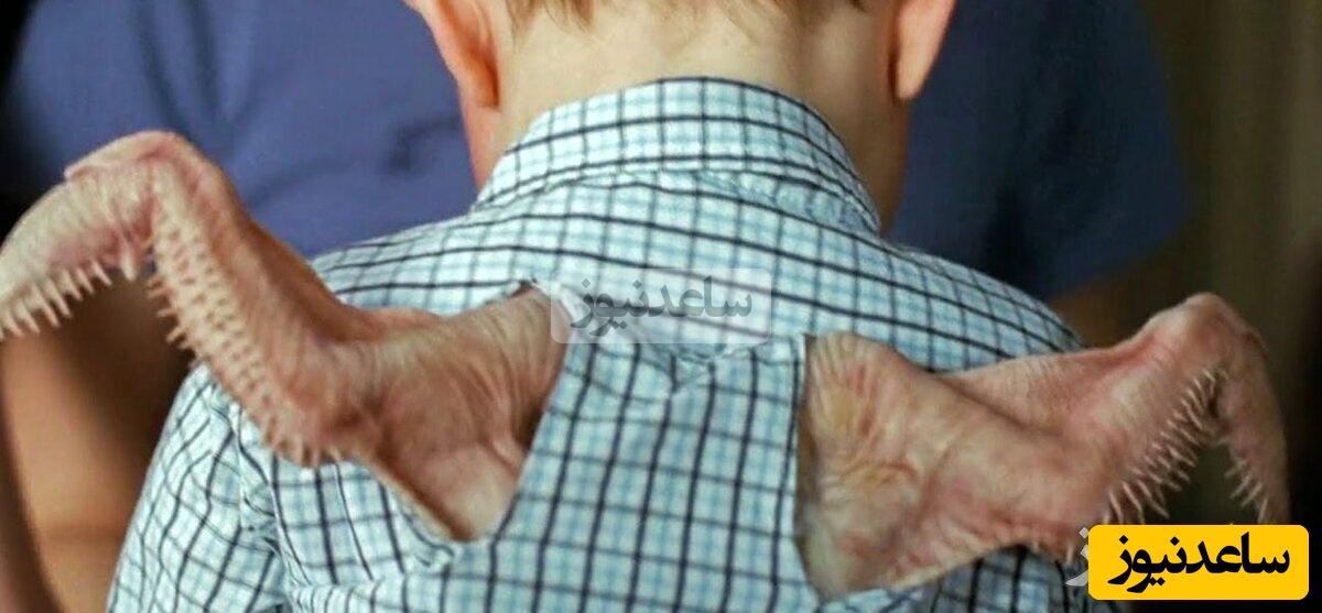 (فیلم) تولد نوزادی با دو بال واقعی / پرواز جلوی چشمان مادرش 😲