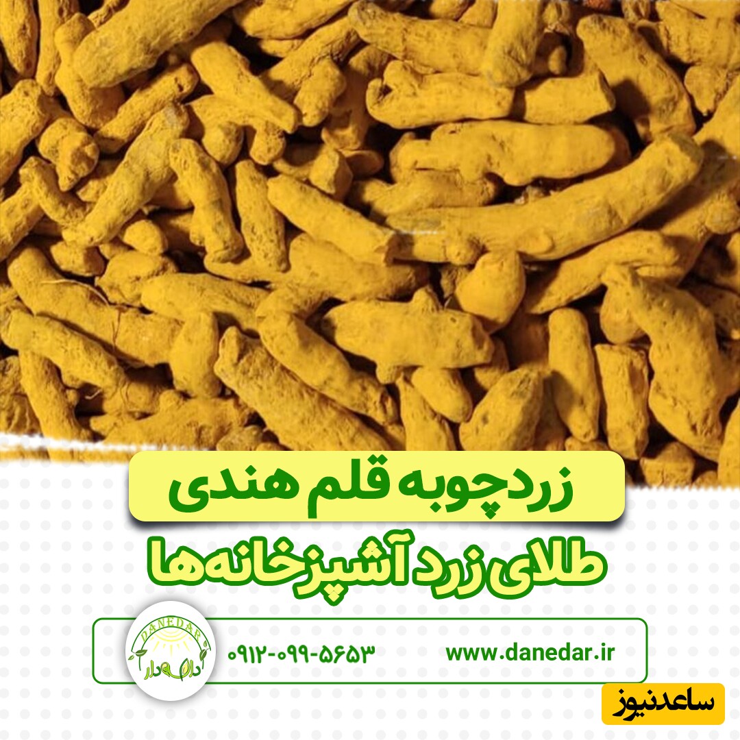 زردچوبه قلم هندی؛ طلای زرد آشپزخانهها