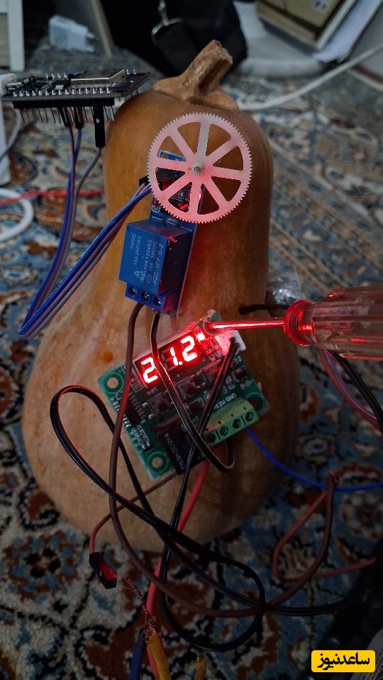 خلاقیت خنده دار دانشجوی رشته برق برای پختن کدوحلوایی به وسیله سیم و فازمتر حماسه آفرید/ هنر نزد ایرانیان است و بس+فیلم