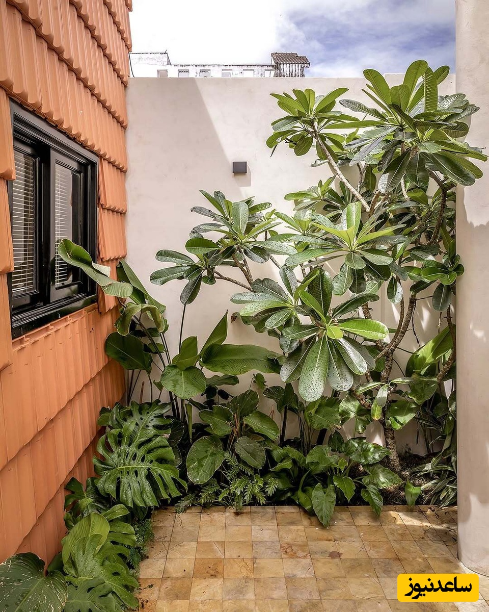 خانه های زیبای جهان