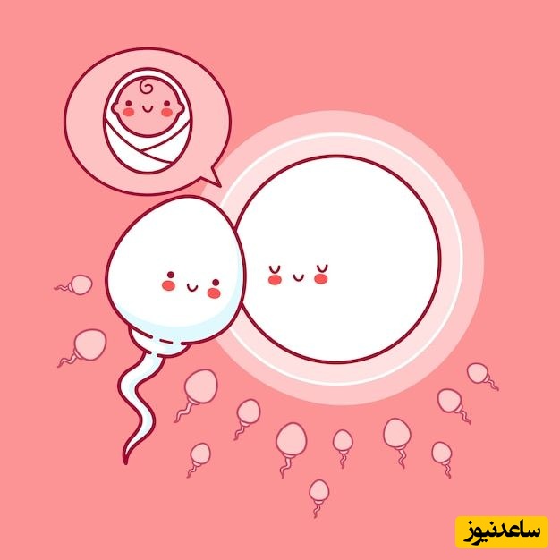 5 روش عالی برای افزایش شانس بارداری و تقویت اسپرم مردان