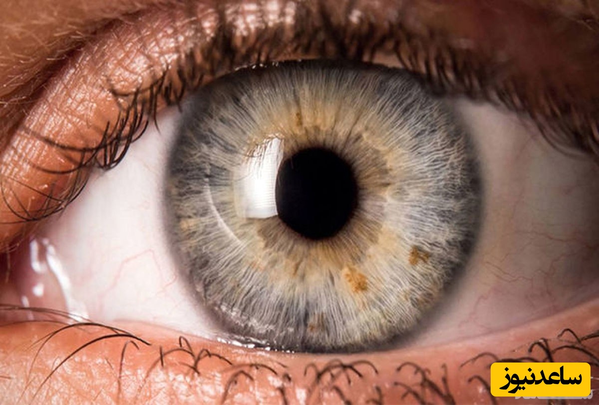 رنگ چشم درباره شخصیت چه می‌گوید؟