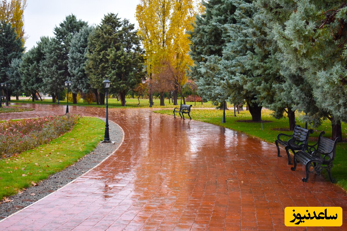 باغ گیاه شناسی