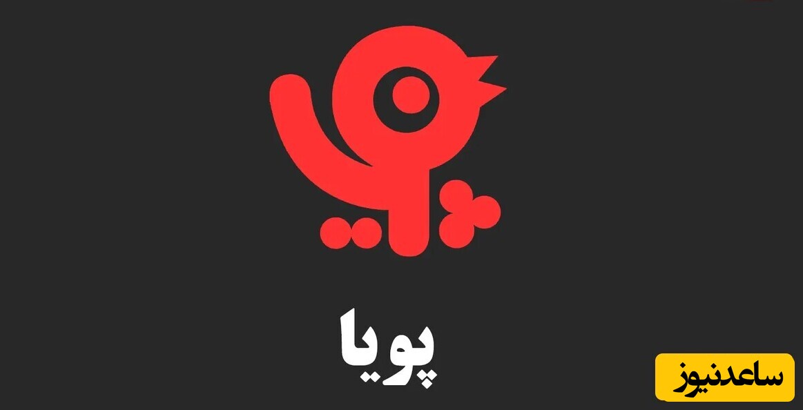 شبکه پویا