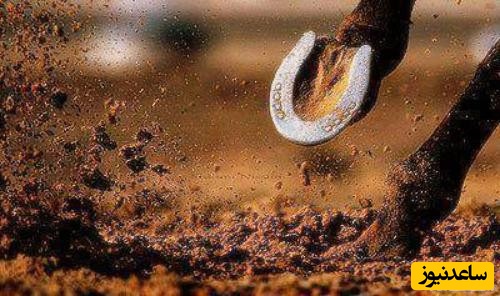 دیدن نعل در خواب چه تعبیری دارد؟ / تعبیر خواب نعل