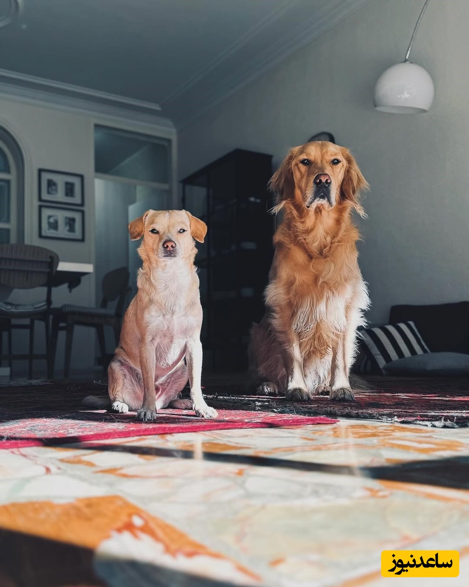 منزل شیدا خلیق و کیوان ساکت اف