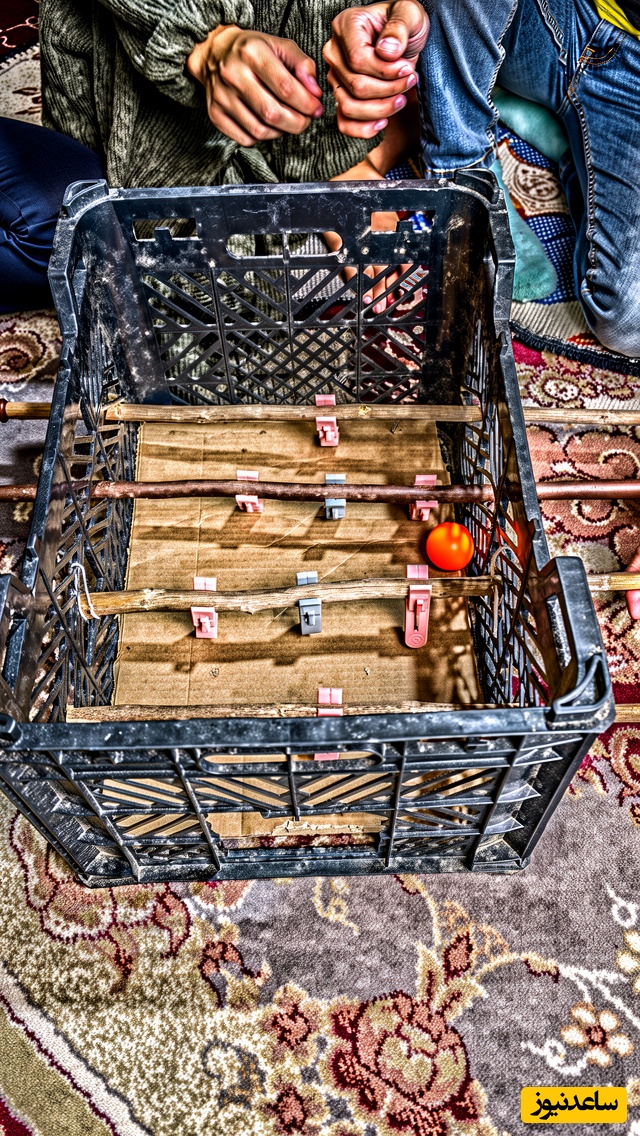 خلاقیت خنده دار جوان ایرانی برای ساخت فوتبال دستی با جعبه سیب و گیره رخت چرک کاری کرد کارستون! امکانات صفر استعداد 100😂+فیلم