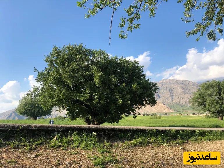 عکس از: سایت Google Maps