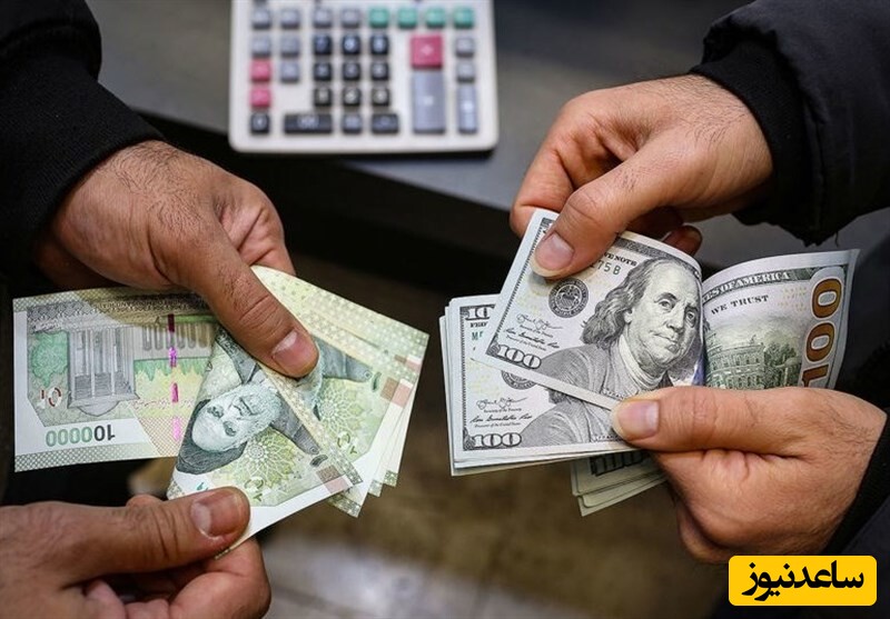 مهاجرانی: دولت از افزایش قیمت دلار سود نمی‌برد