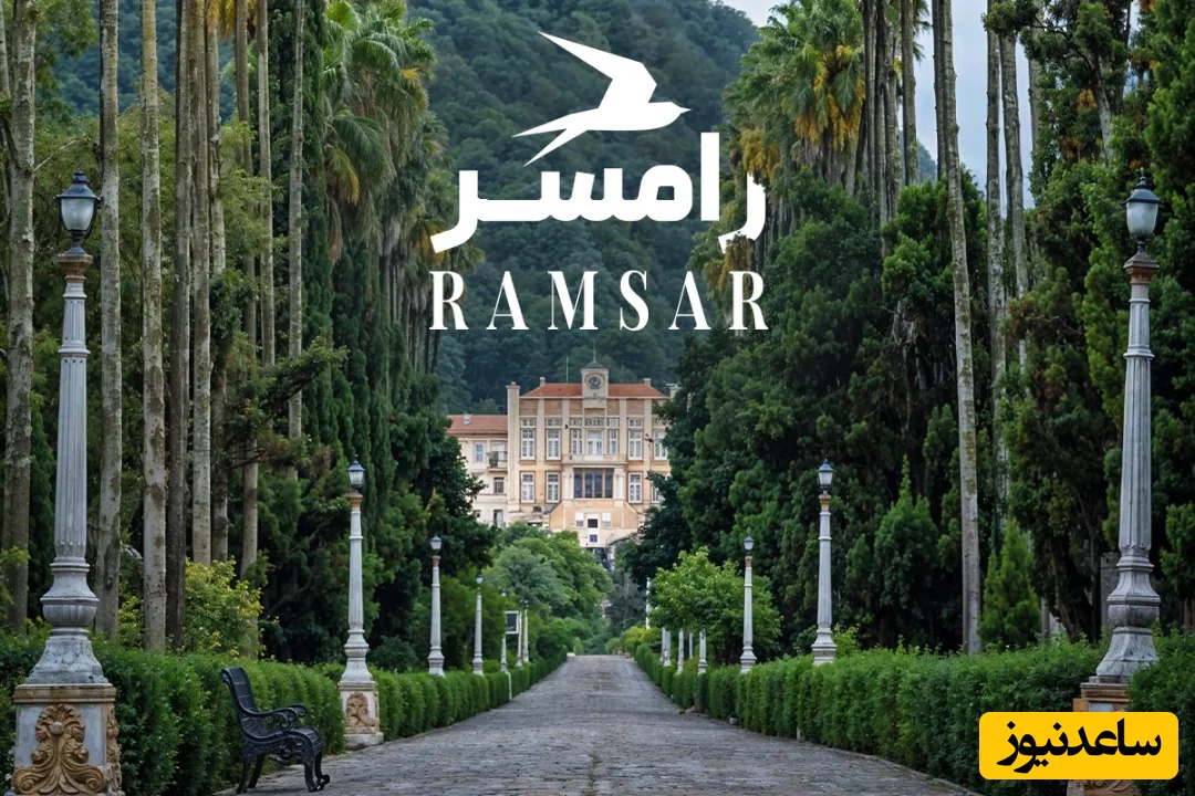 راهنمای کامل سفر 4 روزه در مازندران؛ جاذبه‌هایی که نباید از دست بدهید / مسیر جنگلی رامسر به سبک یک ماجراجویی