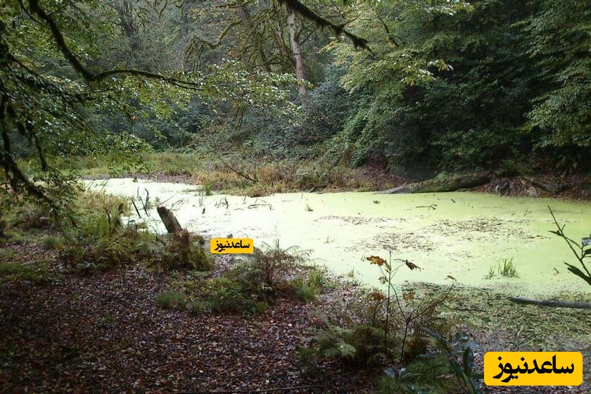 آشنایی با جاذبه گردشگری دریاچه خضرنبی