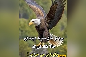 کائنات پیام ویژه ای برات داره؛ زندگی همیشه منصف نیست… اما هنوز فرصت ساختن داستان خودت را داری.../ پیام انگیزشی امروز 18 اردیبهشت 1405+ ویدئو