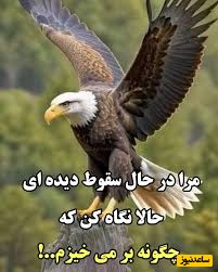 کائنات پیام ویژه ای برات داره؛ زندگی همیشه منصف نیست… اما هنوز فرصت ساختن داستان خودت را داری.../ پیام انگیزشی امروز 18 اردیبهشت 1405+ ویدئو