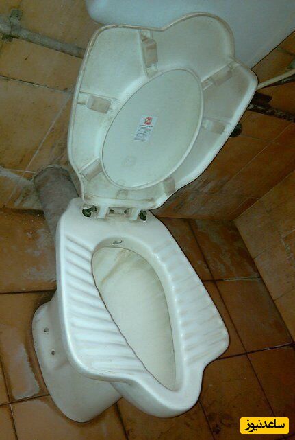 خلاقیت خنده دار یک جوان در طراحی توالت سیار/ با این اختراع باید بهش دکترای افتخاری بدن!! +عکس