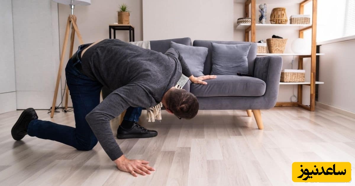 دیدن جستجو در خواب چه تعبیری دارد؟ /  تعبیر خواب جستجو