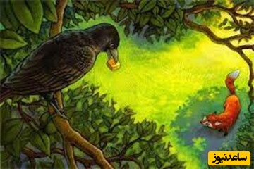 مستند حیات وحش/ این داستان: روباه و زاغ ! دنیای حیوانات و صحنه هایی که انتظار دیدنش را نداریم+عکس