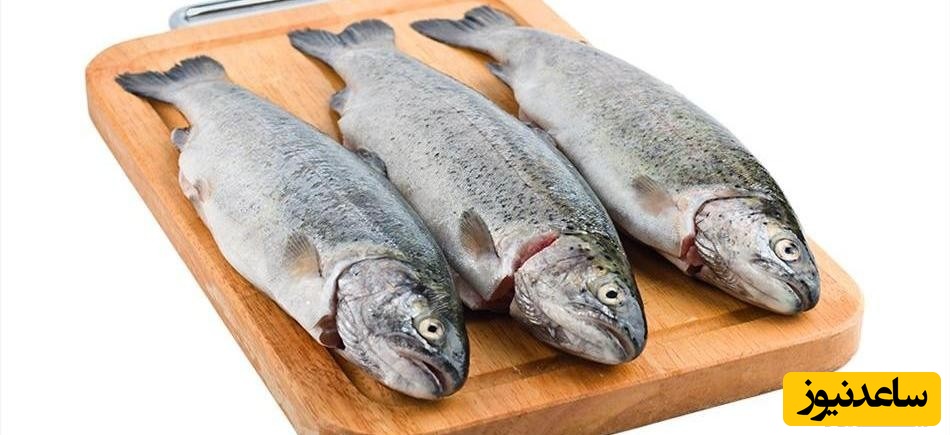 دستیابی به دانش فنی پایش فساد ماهی با استفاده از نانو سنسور های حساس به pH