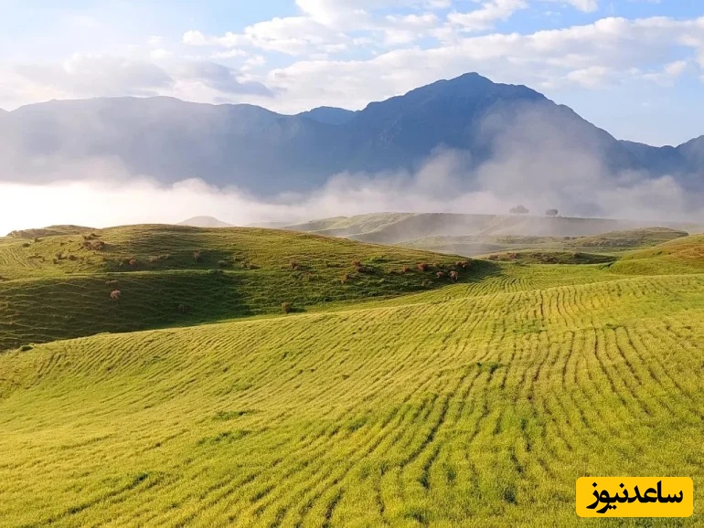 عکس از: سایت Google Maps